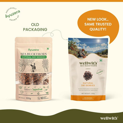 Wellwith Sea Buckthorn Natural Dry Berries