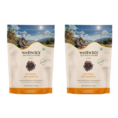 Wellwith Sea Buckthorn Natural Dry Berries