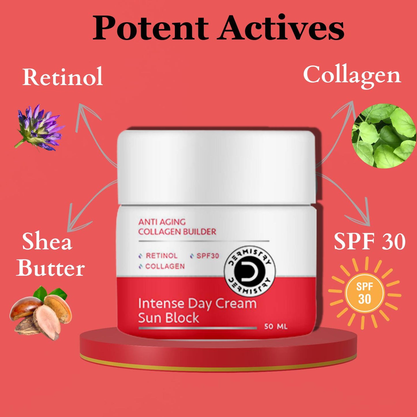 Dermistry Anti Aging Intense Day Cream Sun Block & Intense Nourishing Night Cream