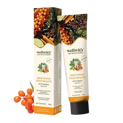 Wellwith DentoWin Herbal Gum Care Toothpaste