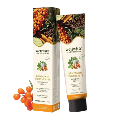Wellwith DentoWin Herbal Gum Care Toothpaste