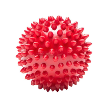 Red spiky ball on a white background