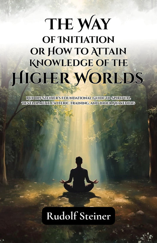 Silhouette of a person meditating in a forest with rays of light, book cover design.
