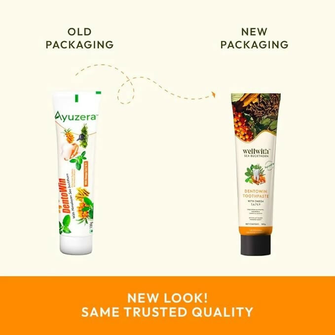 Wellwith DentoWin Herbal Gum Care Toothpaste