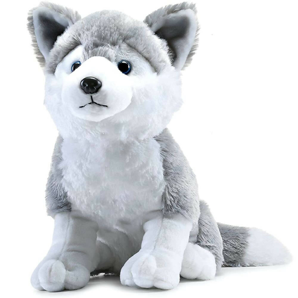 Plush toy wolf on a white background