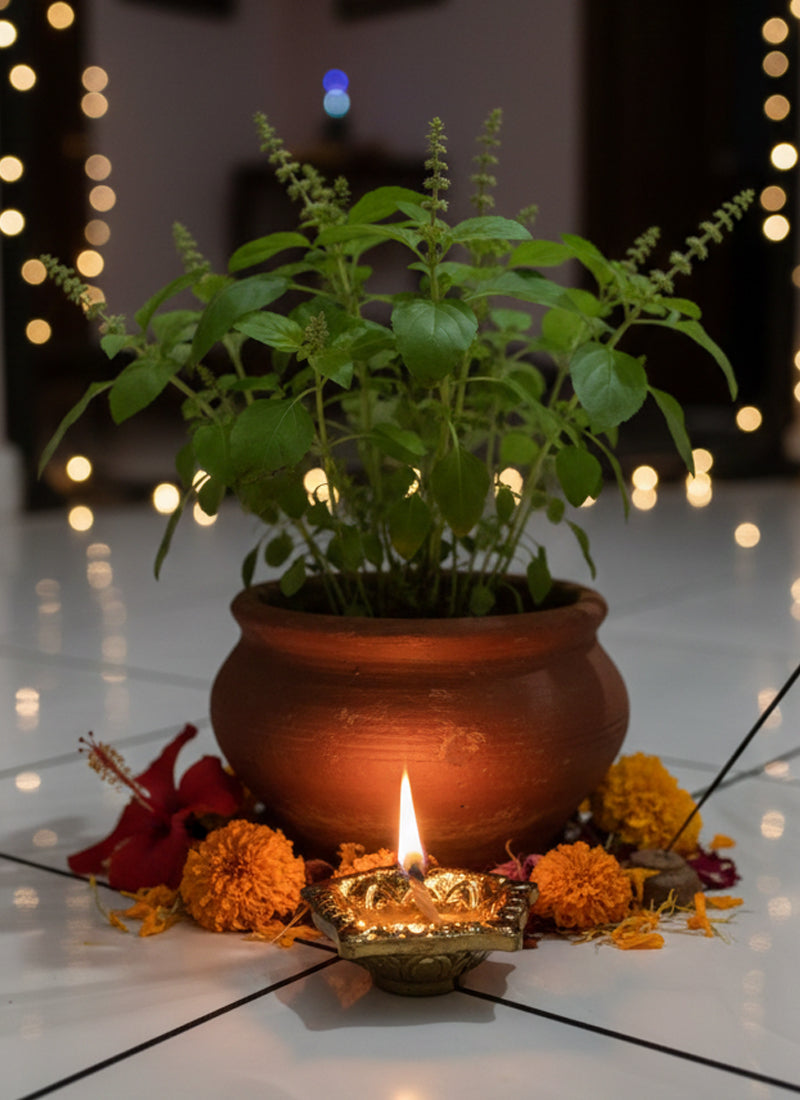 Potted plant with a lit candle and marigold flowers on a reflective surface with blurred lights in the background