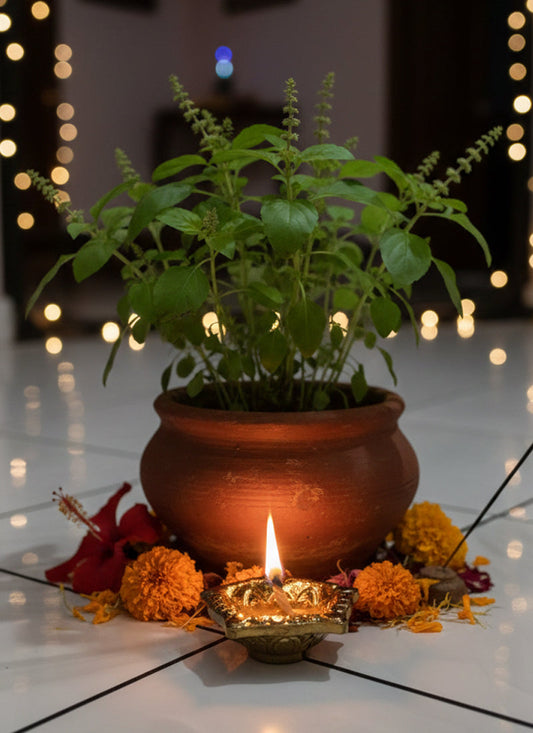 Potted plant with a lit candle and marigold flowers on a reflective surface with blurred lights in the background