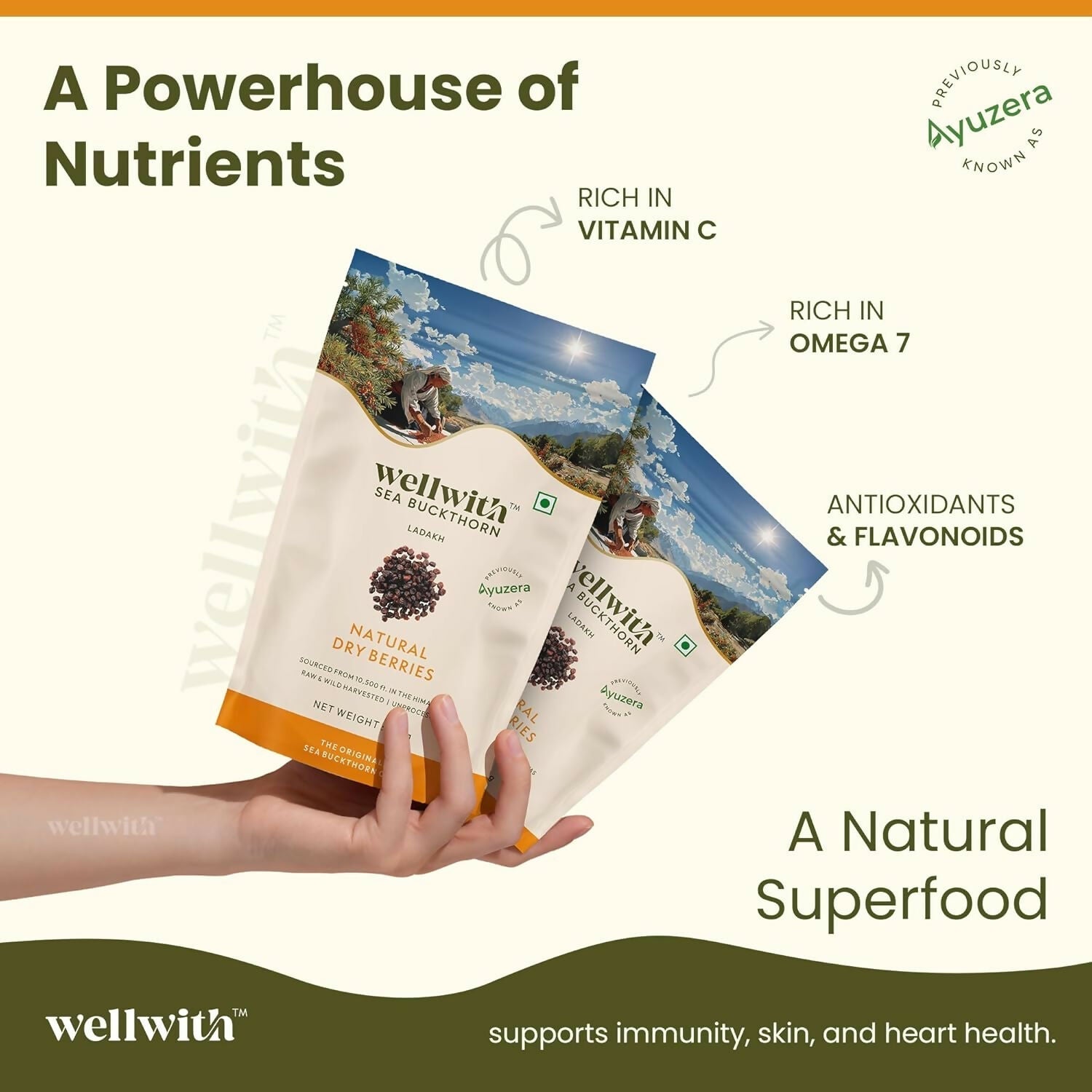 Wellwith Sea Buckthorn Natural Dry Berries