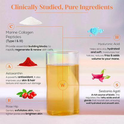Wellbeing Nutrition Glow Korean Marine & Beauty Collagen Combo: Tropical Bliss & Mango Peach Flavor