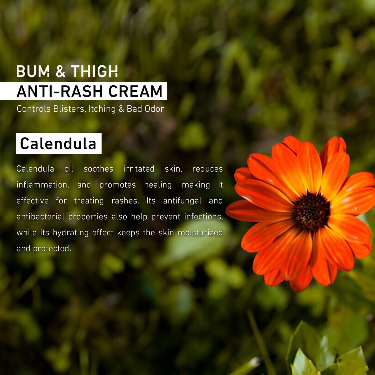SANCTUS Bum & Thigh Anti-Rash Cream