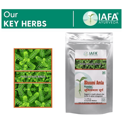 Iafa Ayuveda Bhoomi Amla Powder