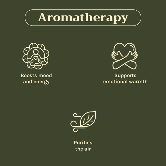 Tattvalogy Cinnamon Bark Essential Oil - Anti - Acne, Reduces Hair Fall, Has a nice spicy aroma