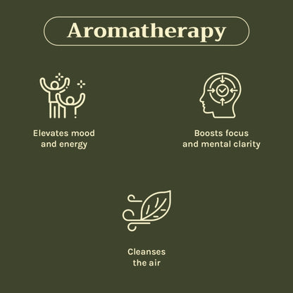 Tattvalogy Lemon Essential Oil - Therapeutic Grade, Mood Booster, Evens Skin Tone for Radiant Glow
