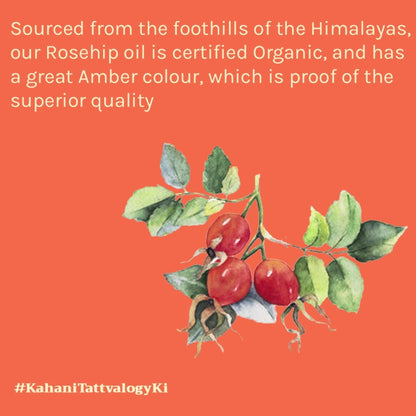 Tattvalogy Raw Rosehip Oil - Vitamin-C Rich, Boosts Collagen, Reduces Hyperpigmentation for Glow