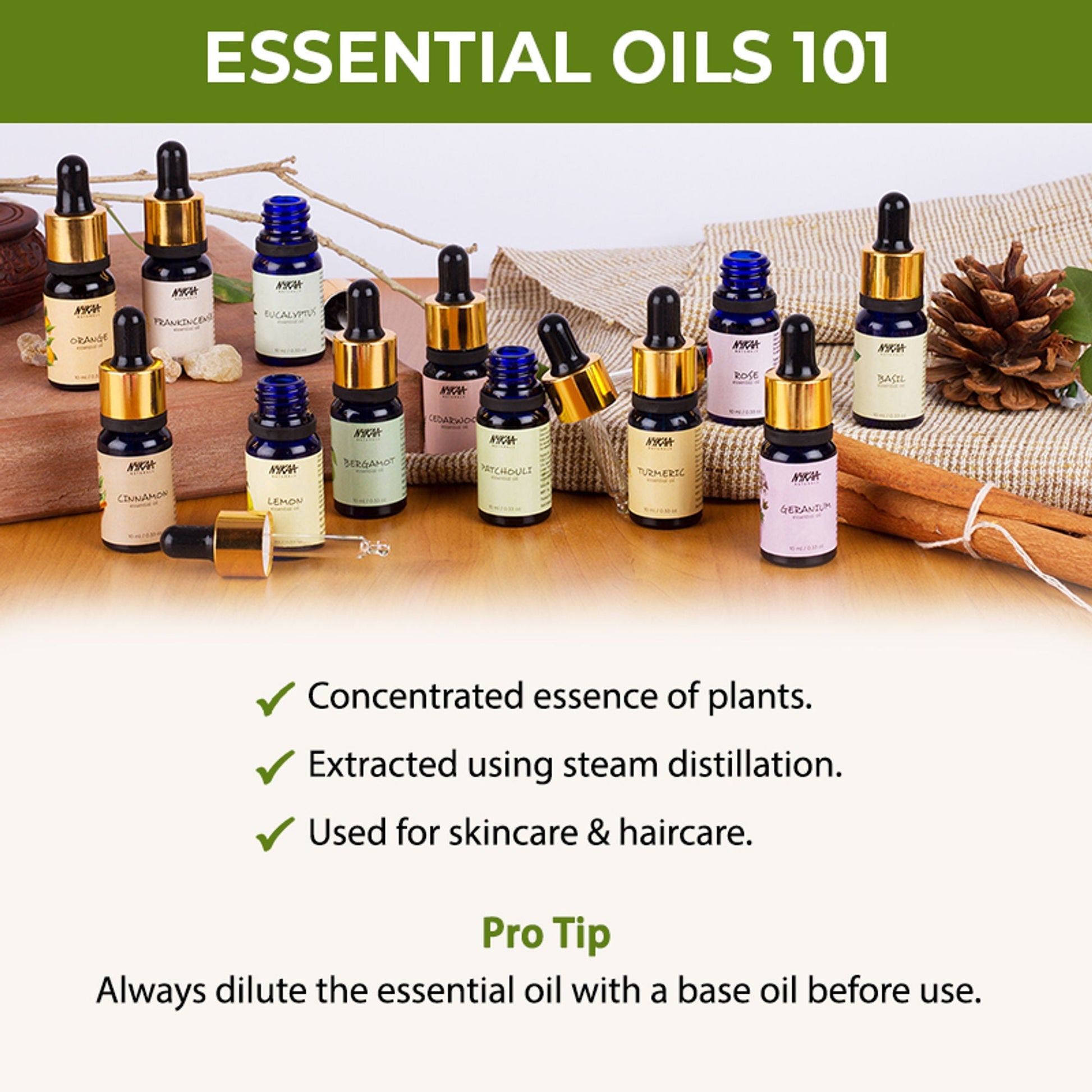 Nykaa Naturals Bestseller Rosemary Essential Oil For Hair Growth & Nourishing Scalp - 100% Natural