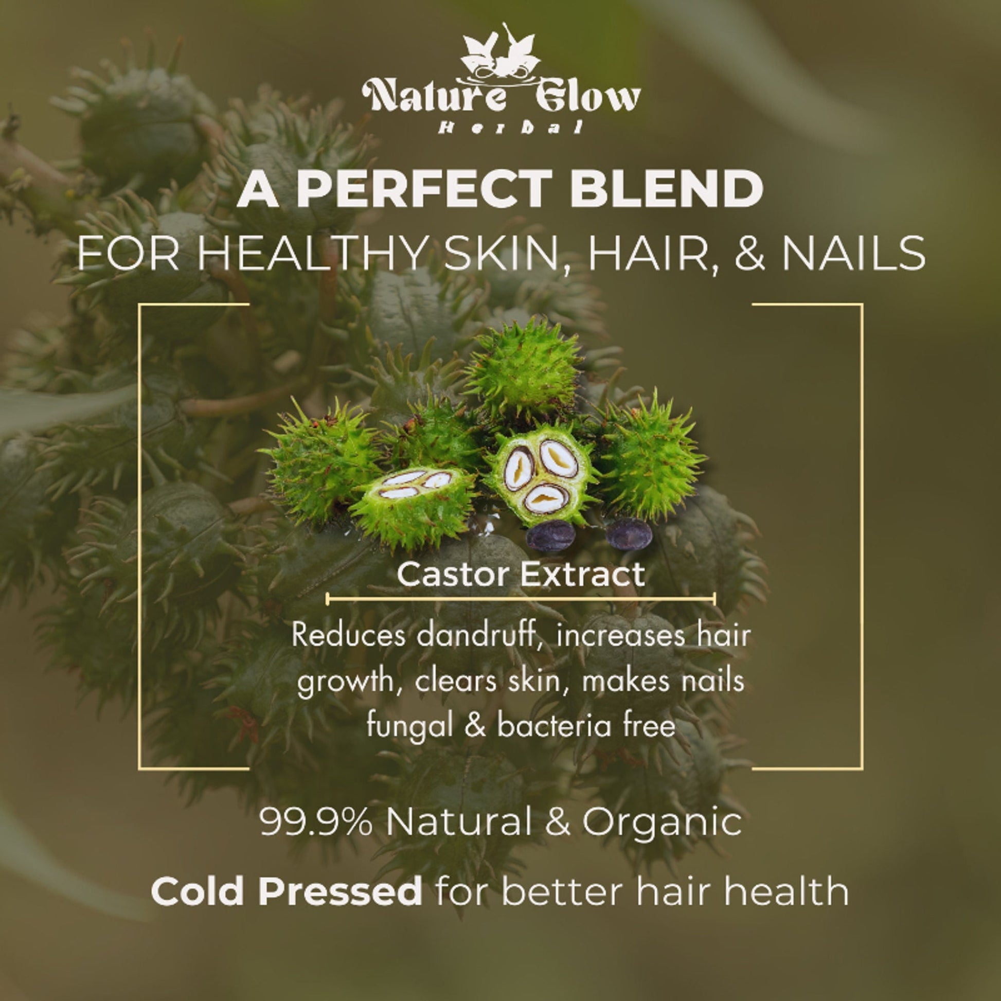 Nature Glow Herbal Castor Oil & 4 In 1 Hair Oil Combo