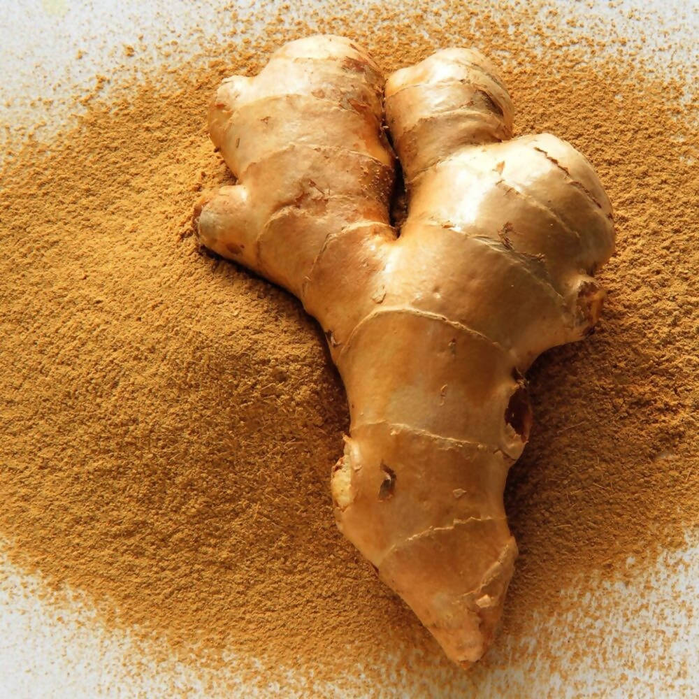 Freshon Dry Ginger Powder