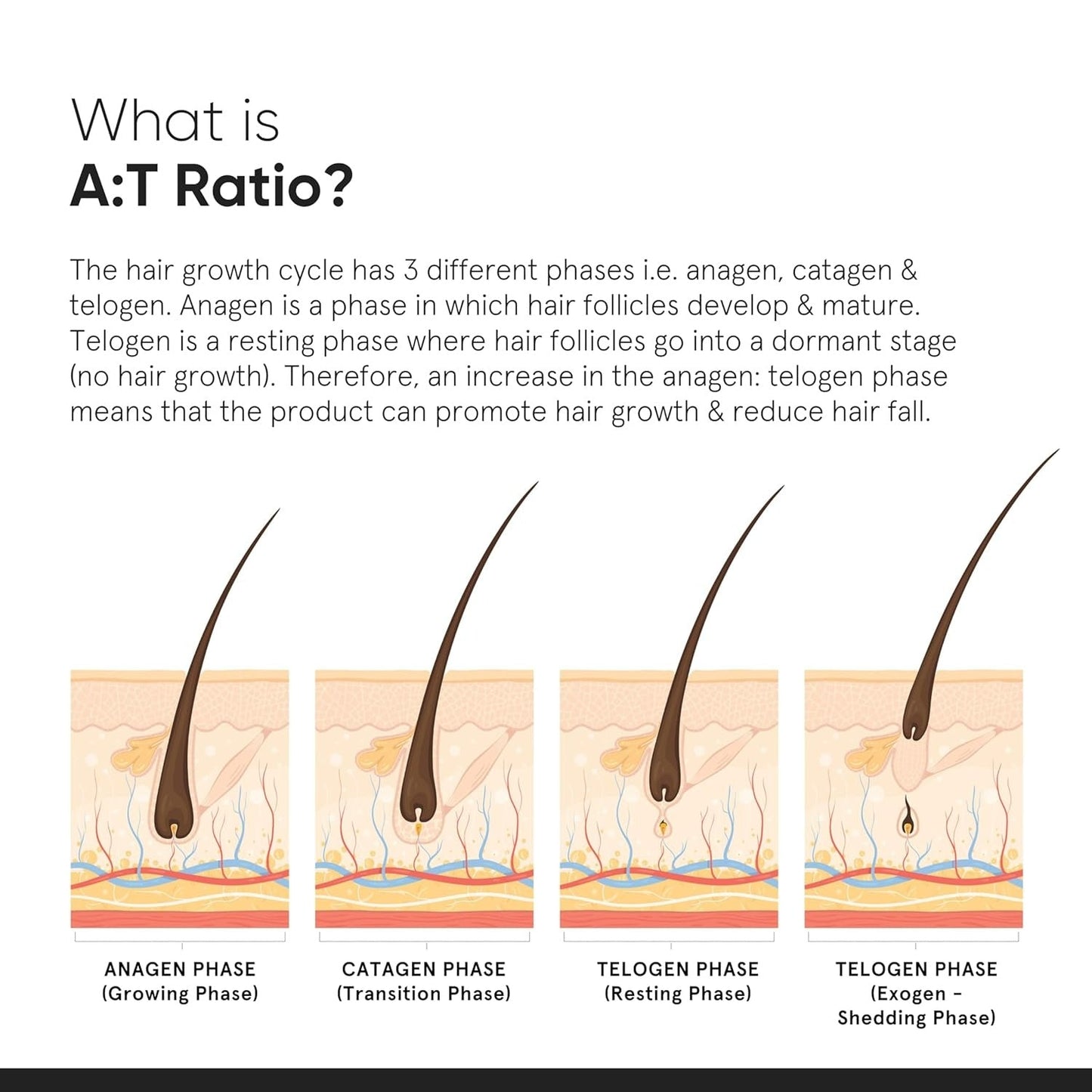 Minimalist Hair Growth Actives 18%