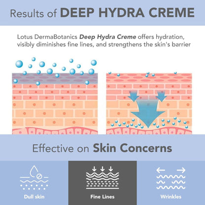 Lotus DermaBotanics Peptide + Papaya Extract Deep Hydra Creme, pH5.5, Normal to Combination Skin