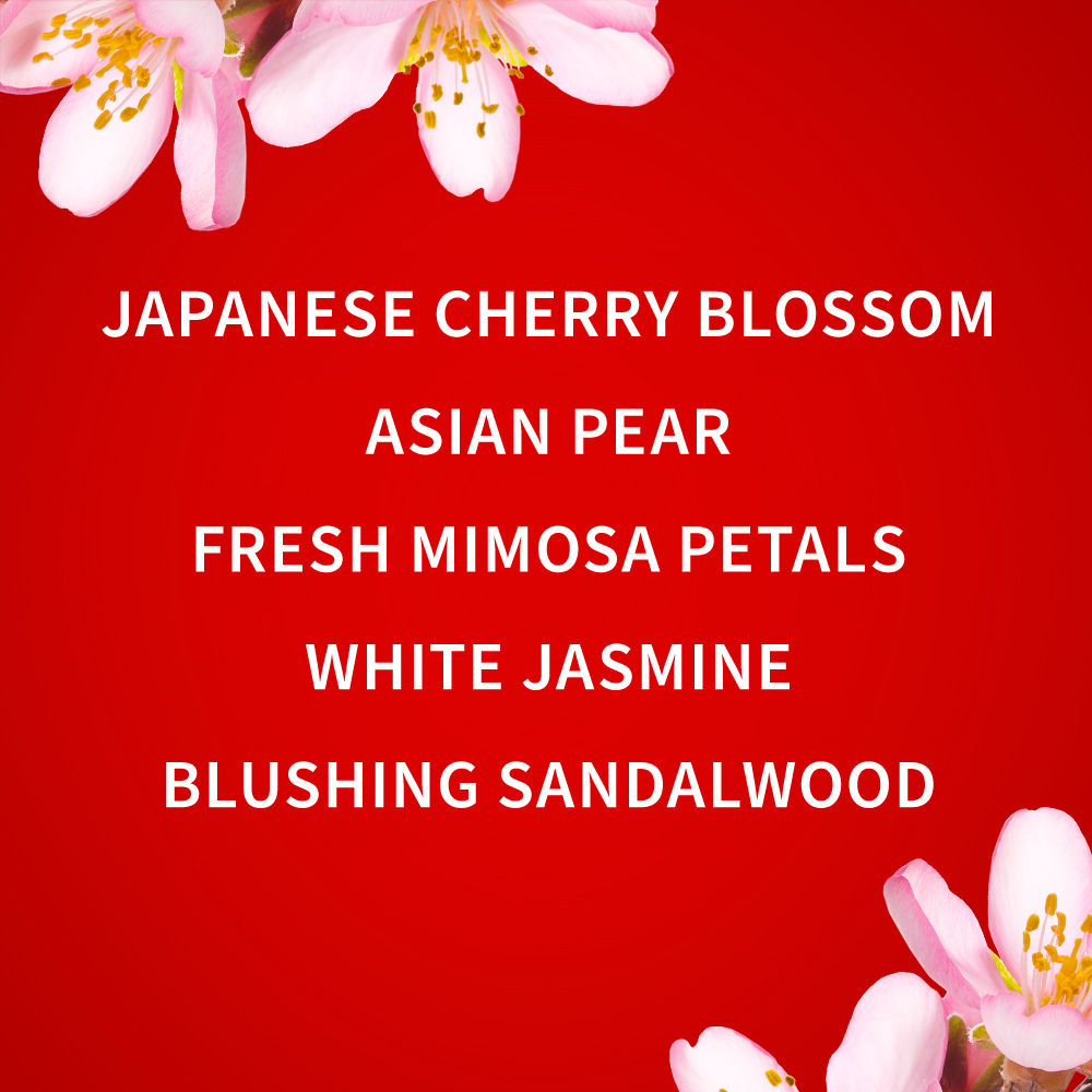 Bath & Body Works Japanese Cherry Blossom Body Lotion