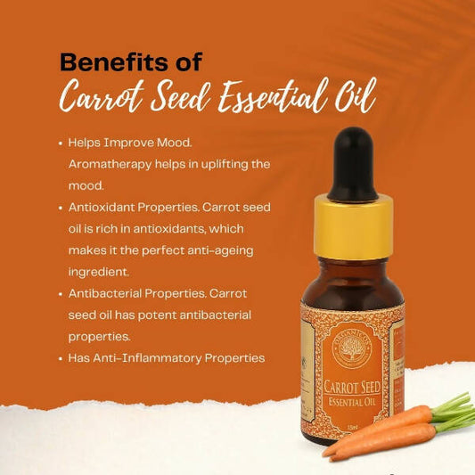 Organicos Carrot Seed Essential Oil