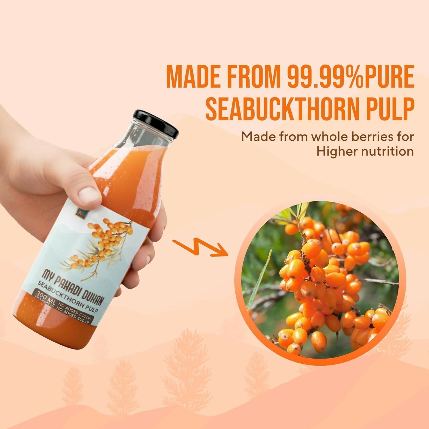 My Pahadi Dukan Himalayan Sea Buckthorn Pulp