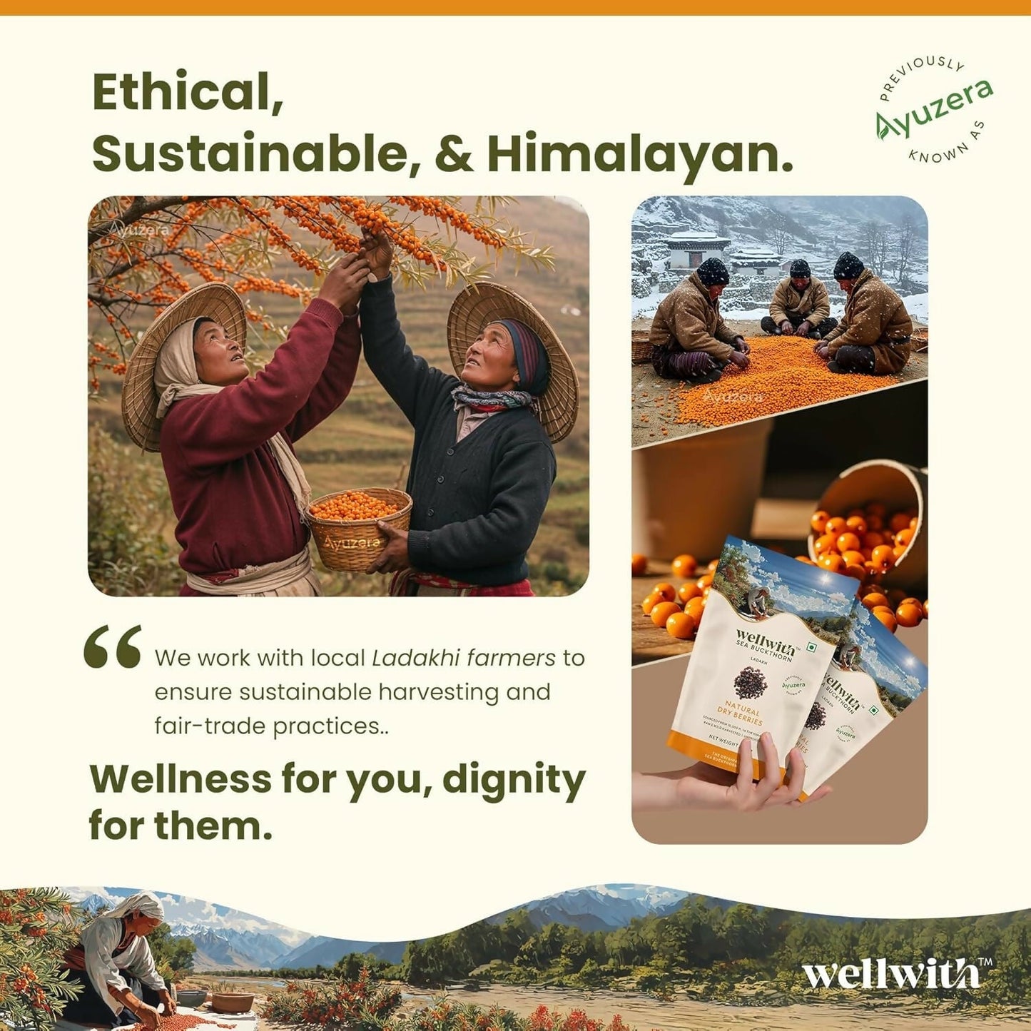 Wellwith Sea Buckthorn Natural Dry Berries