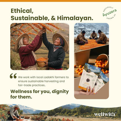 Wellwith Sea Buckthorn Natural Dry Berries