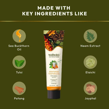 Wellwith DentoWin Herbal Gum Care Toothpaste