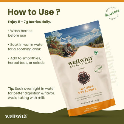 Wellwith Sea Buckthorn Natural Dry Berries
