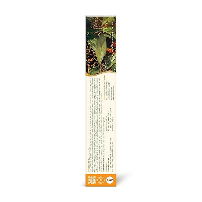 Wellwith DentoWin Herbal Gum Care Toothpaste