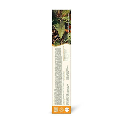 Wellwith DentoWin Herbal Gum Care Toothpaste