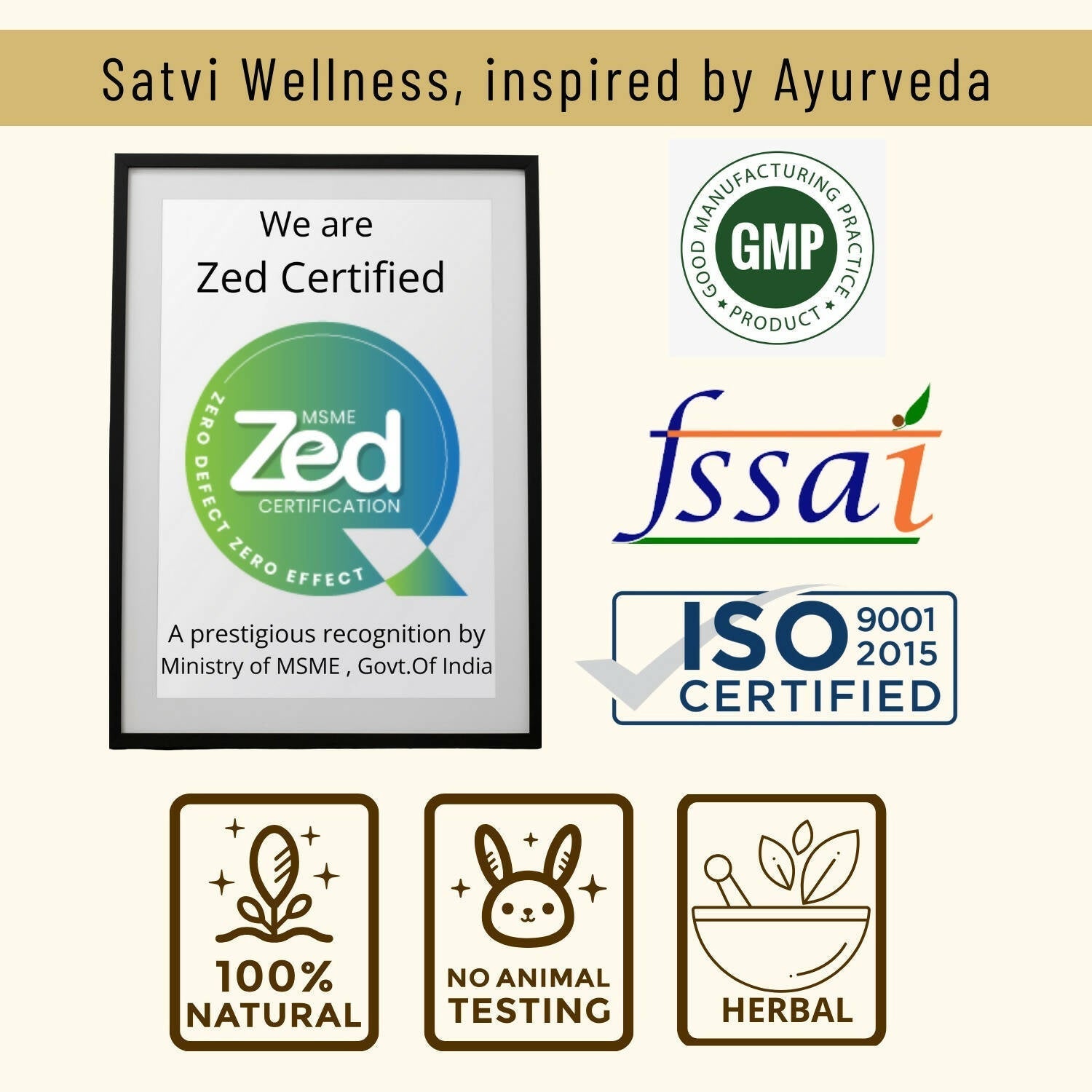 Satvi Wellness Dahasamani | Herbal Drink Mix