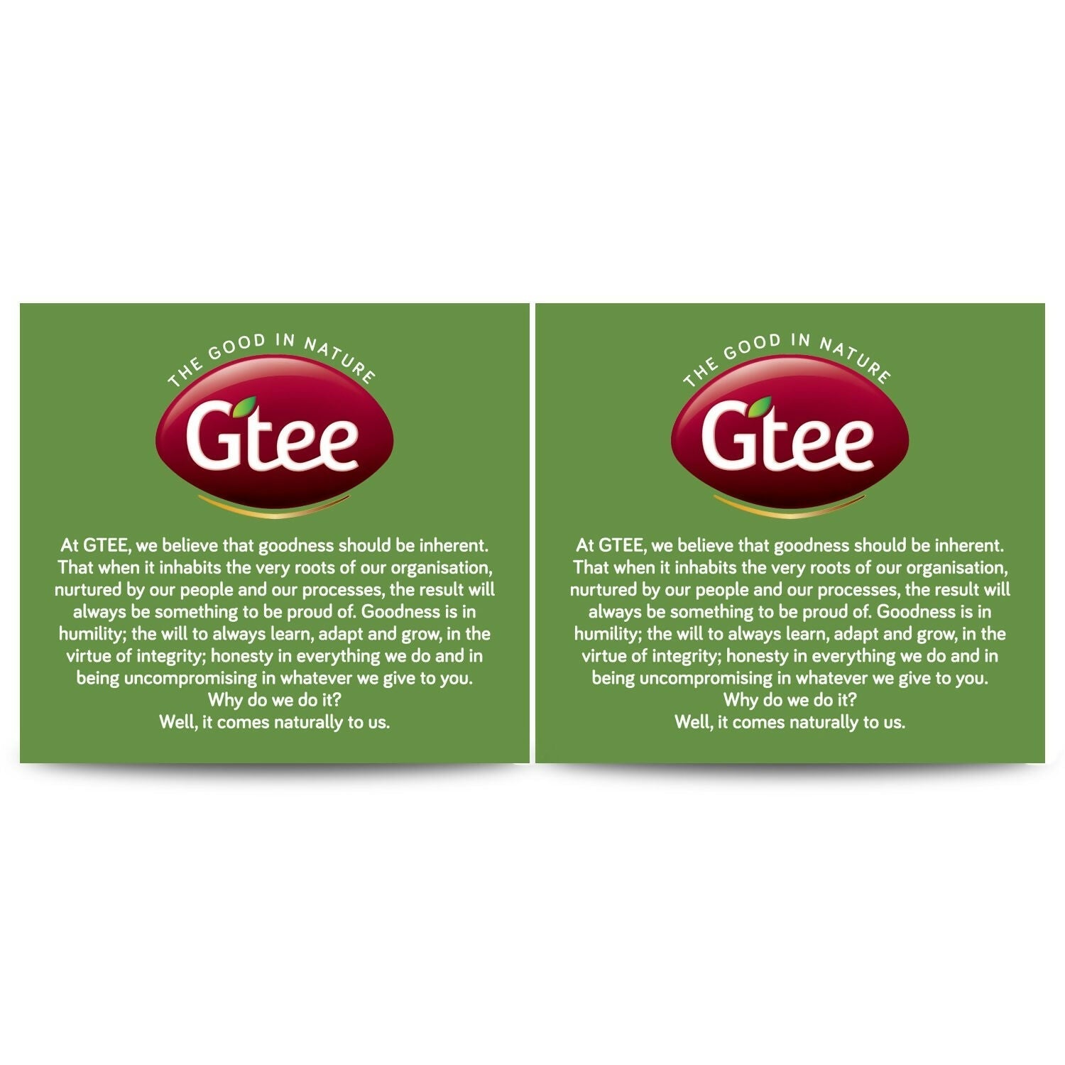 Gtee Green Tea Bags - Regular