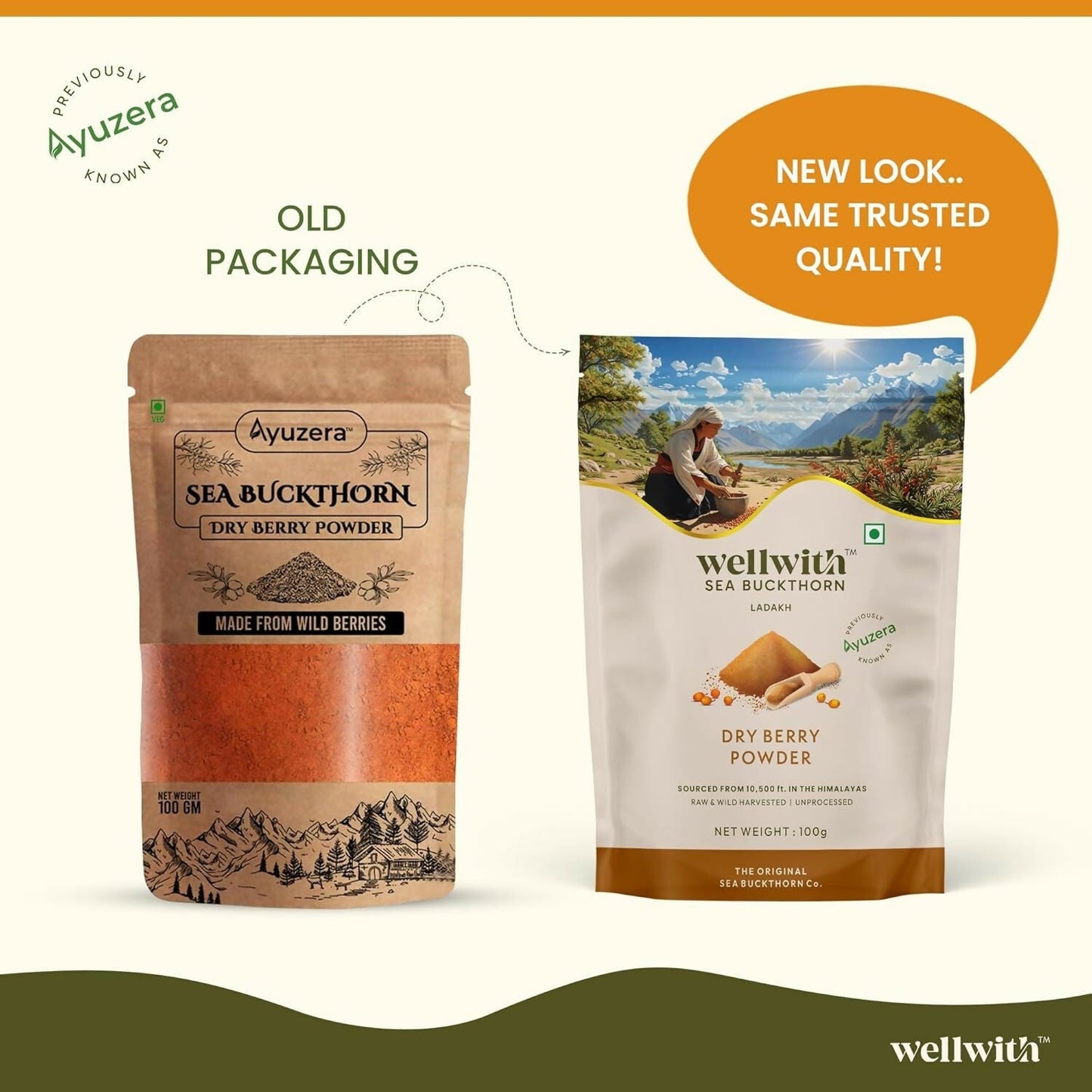 Wellwith Himalayan Sea Buckthorn Dry Berry Powder