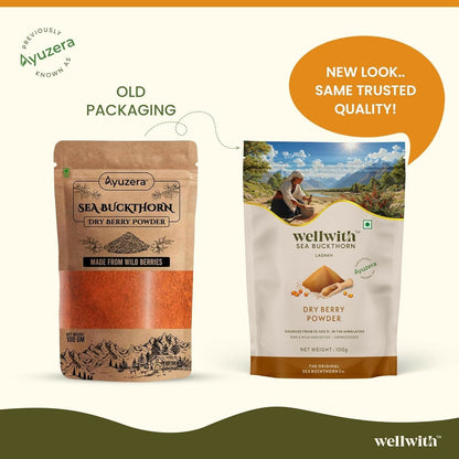 Wellwith Himalayan Sea Buckthorn Dry Berry Powder