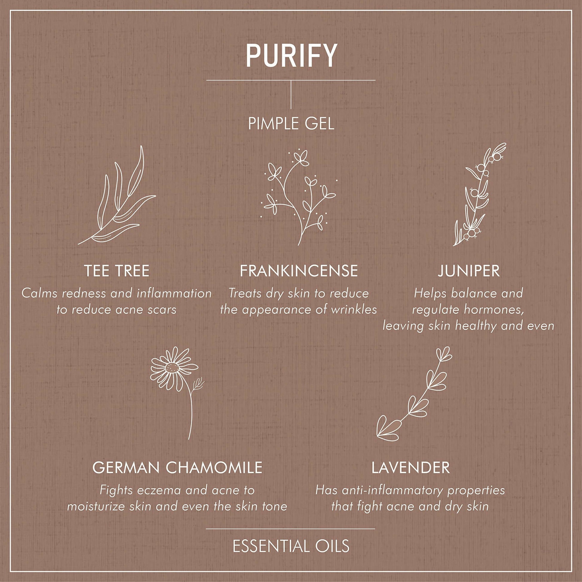 Secret Alchemist Purify Pimple Gel