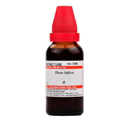 Dr. Willmar Schwabe India Ficus Indica Mother Tincture Q - Limited Time Offer
