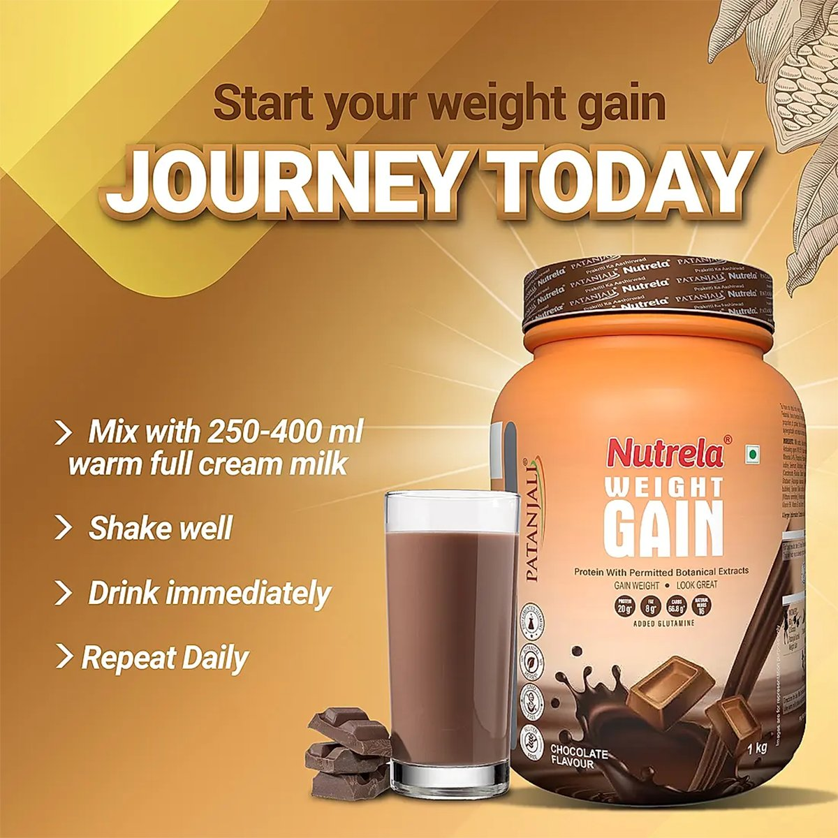 Patanjali Nutrela Weight Gain Chocolate Flavour