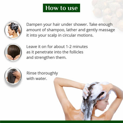 Globus Naturals Amla Reetha Shikakai Shampoo
