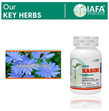 Iafa Ayuveda Kasini Veg Capsules