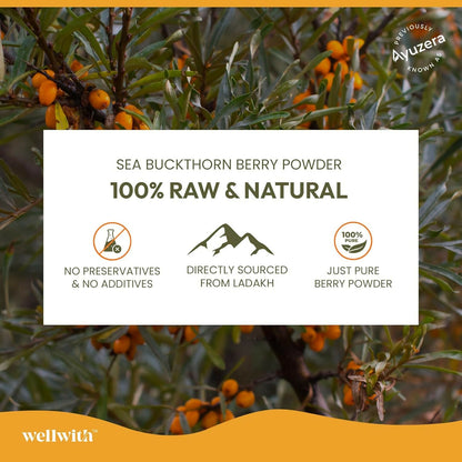 Wellwith Himalayan Sea Buckthorn Dry Berry Powder