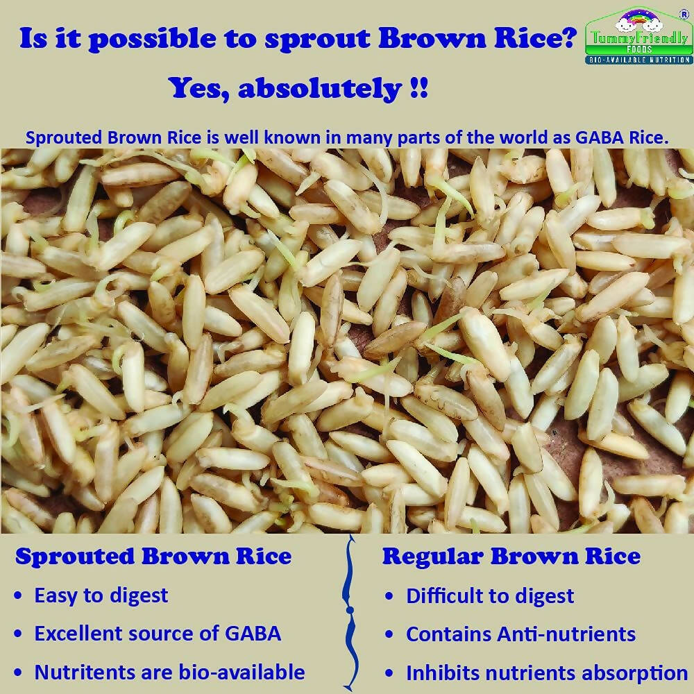 TummyFriendly Foods Certified Organic Sprouted Brown Rice, Red Lentil, Spinach, Green Peas Porridge Mix