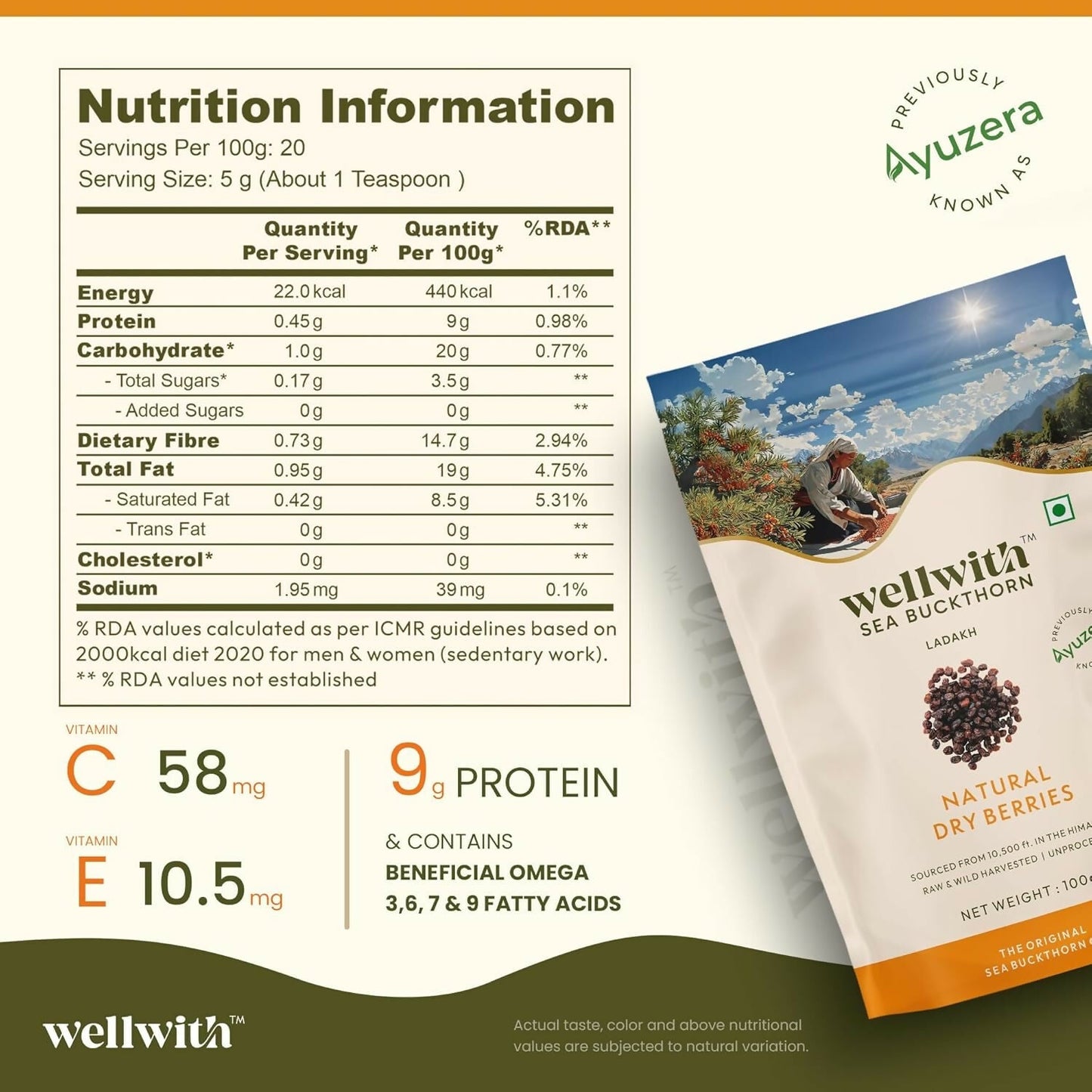 Wellwith Sea Buckthorn Natural Dry Berries